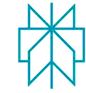 perplexity ai productivity tool